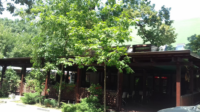 Comentarii opinii despre Restaurant Stejarul