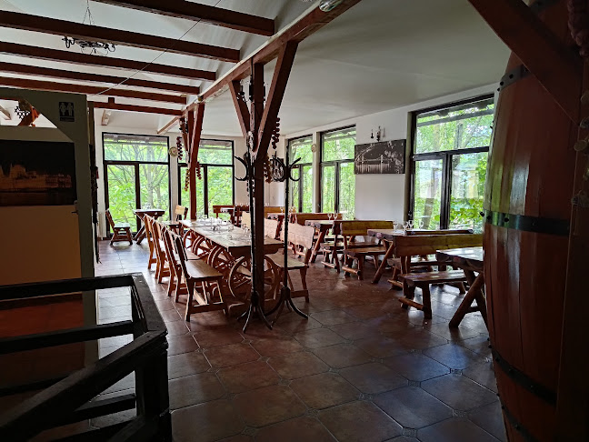 Restaurant Alex - Gastronomie și ospitalitate