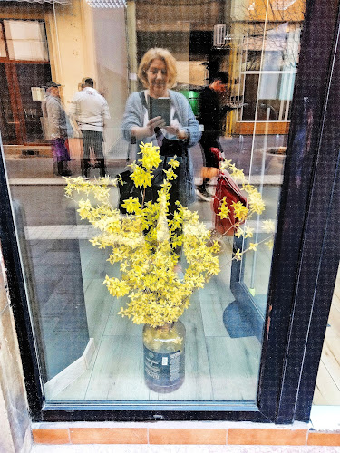 Piața Catedralei - Arad