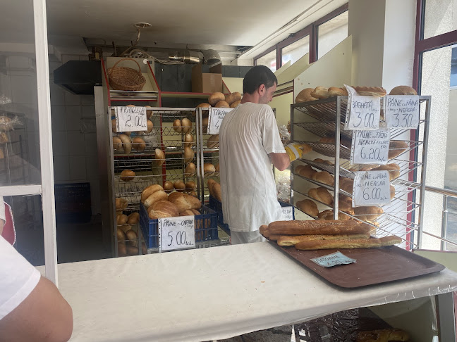 S.C. Palina S.R.L - Gastronomie și ospitalitate