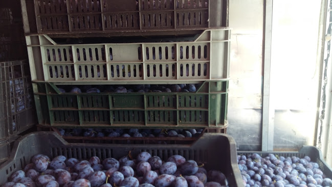 Târgul de Mașini - Gastronomie și ospitalitate