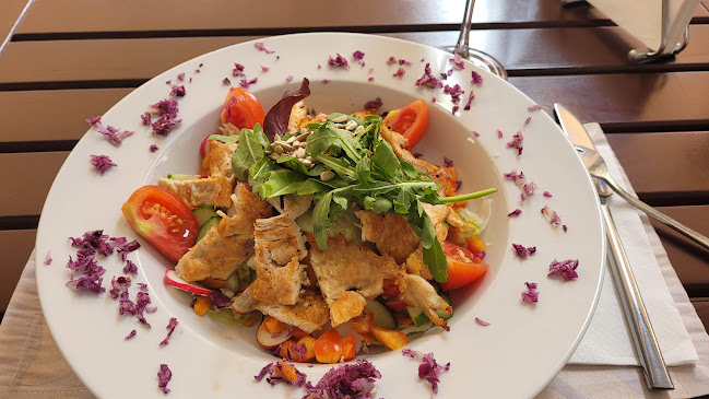 Restaurant Saladina - Zalău