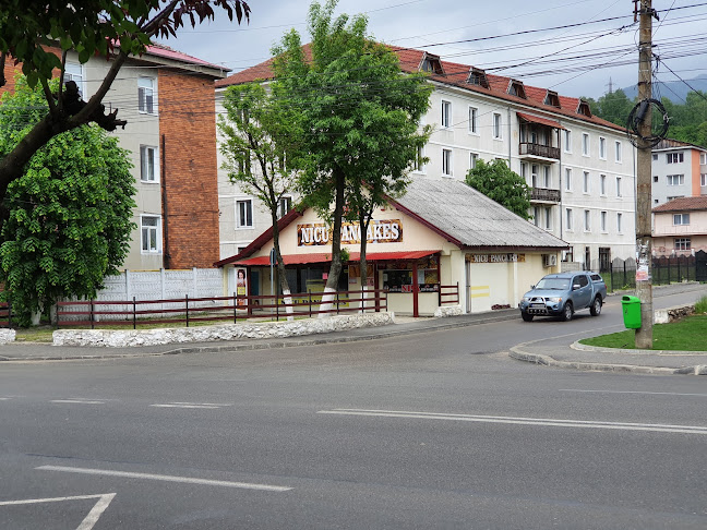 Strada Tudor Vladimirescu 35, Lupeni 335600