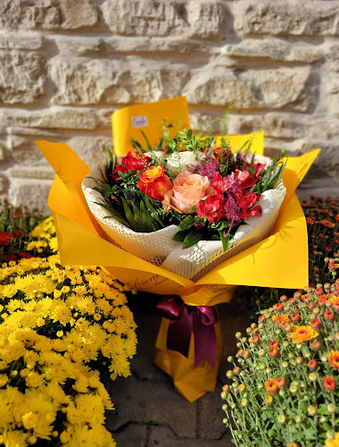 Comentarii opinii despre CAMELIA.atelier de flori