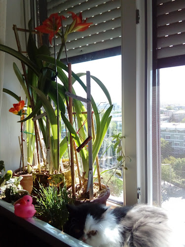 Piața Gării - Craiova