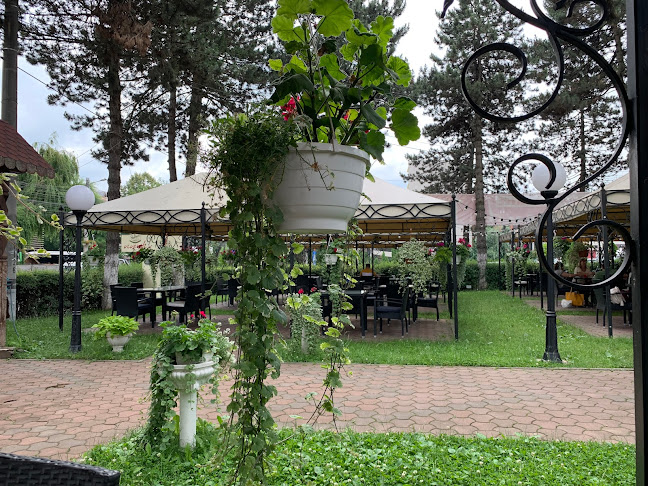 Comentarii opinii despre Vivendi