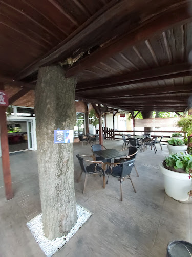 Royal Club - Gastronomie și ospitalitate