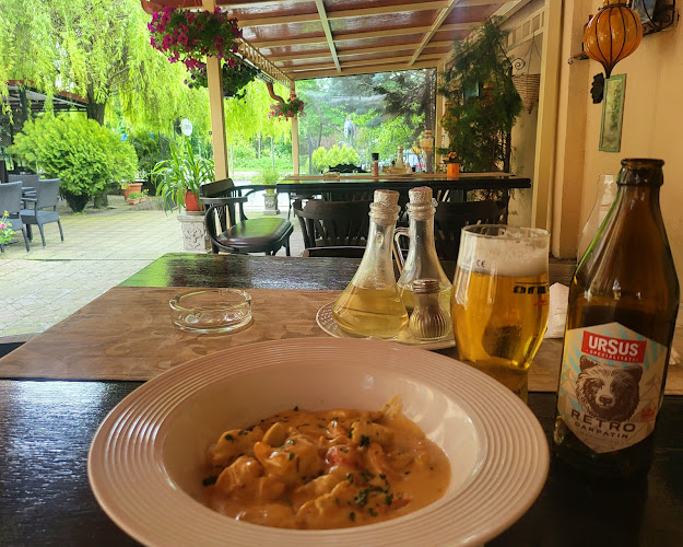 Restaurant Carol - Gastronomie și ospitalitate