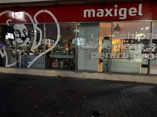 Maxigel - filiala Iasi - Gastronomie și ospitalitate