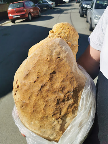 S.C. Vespan S.R.L. Salonta