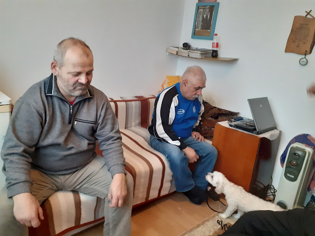 Bulevardul Nicolae Titulescu numărul 50, Vulcan 336200, România