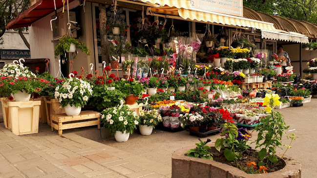 Piața Viilor - Gastronomie și ospitalitate