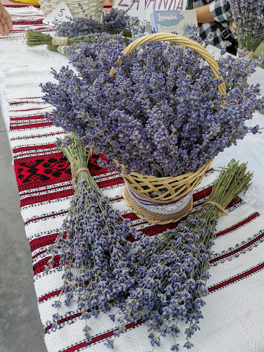 Comentarii opinii despre Piata agroalimentară Balș