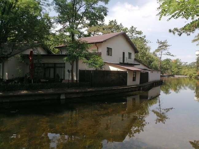 Comentarii opinii despre New Generation