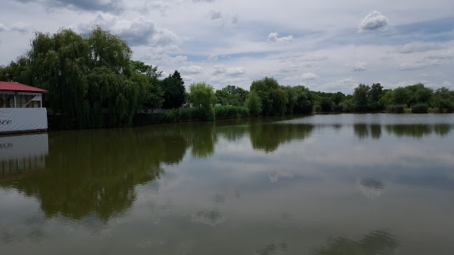 Strada Lacului 1, Timișoara 300425