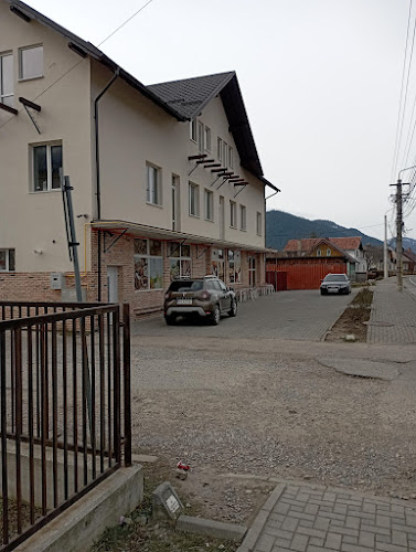 BRUTĂRIA SALVA - Câmpulung Moldovenesc