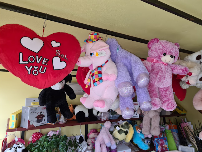 Florăria Tao-Tao - Snagov