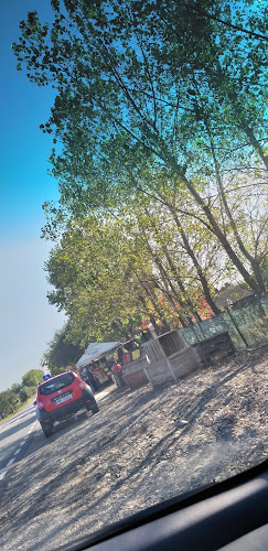 Comentarii opinii despre Fructe Romanesti