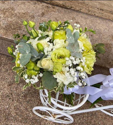 Opinii despre MaJolie în Ploiești - Gastronomie și ospitalitate