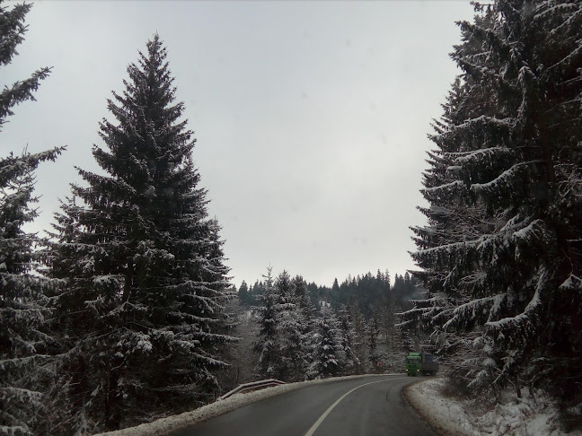 Comentarii opinii despre Restaurant Szivárvány Kisvendéglő