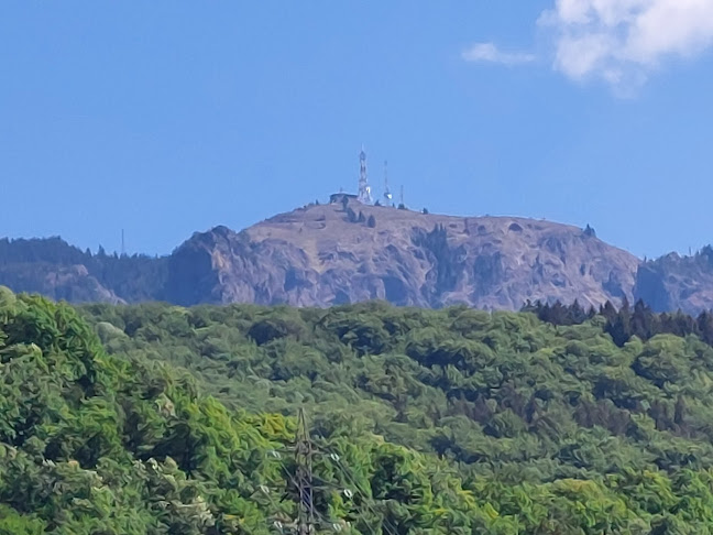 Restaurant Valea Oltului - Slatina