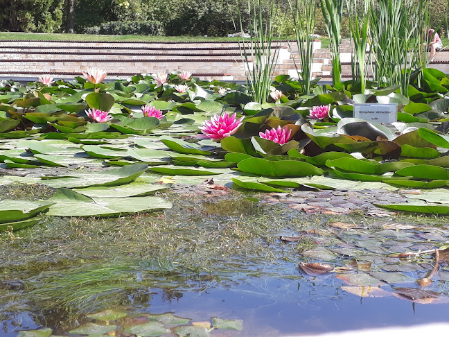 Parcul Expozitiei, Iași 700470