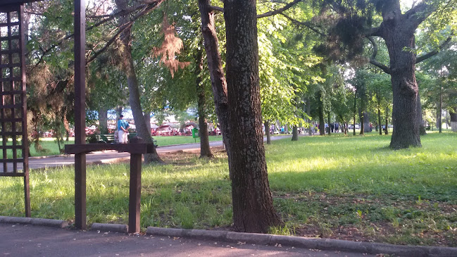 Opinii despre Restaurant MAX în Buzău - Gastronomie și ospitalitate