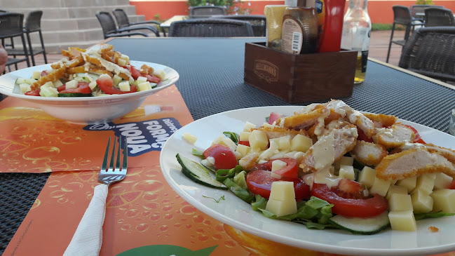 Milenium D&D - Gastronomie și ospitalitate