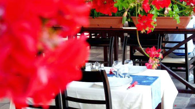 Strada Aeroportului 7, Bacău