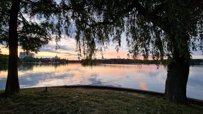 Aleea Pescăruș 1, București 011851