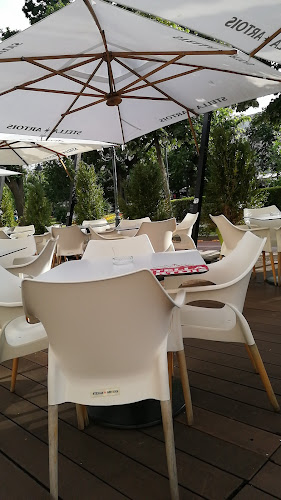 Comentarii opinii despre Marco Polo