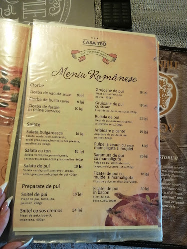 Casa Teo - Gastronomie și ospitalitate