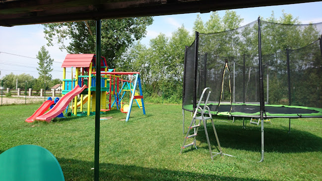 Pizzeria CO-K - Gastronomie și ospitalitate