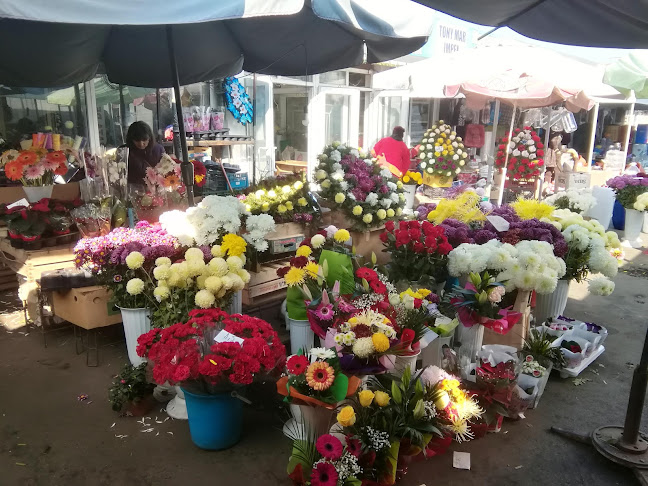 Opinii despre Piata De Flori în Giurgiu - Gastronomie și ospitalitate