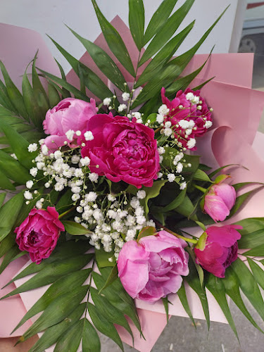 Comentarii opinii despre Piața Verde