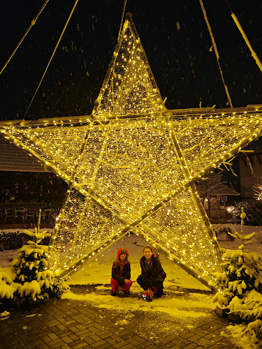 Hanul Teilor - Dănești