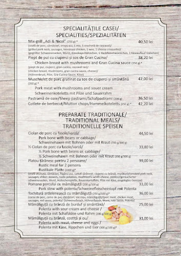 Comentarii opinii despre Adi&Nicol