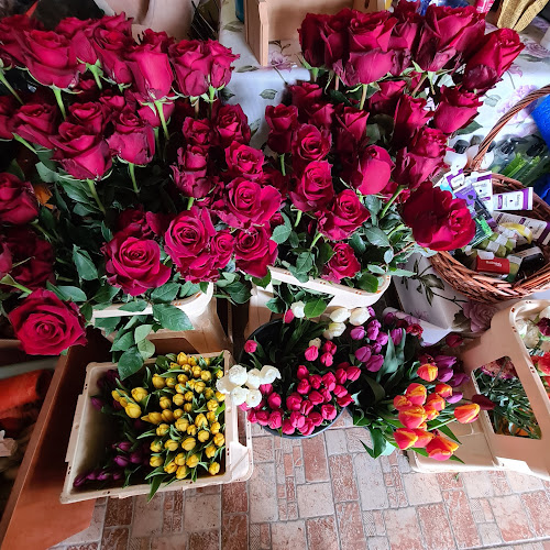 Comentarii opinii despre Florăria Tao-Tao