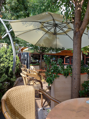 Comentarii opinii despre Zaza