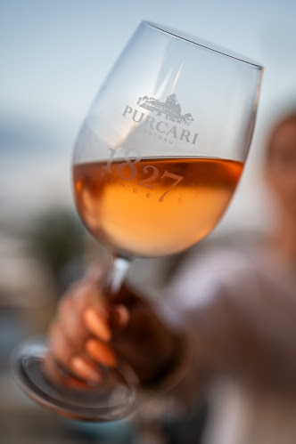 Comentarii opinii despre Muse Port