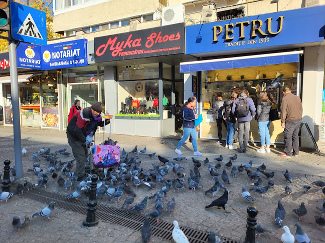 Simigeria PETRU- Stefan Cel Mare - Iași