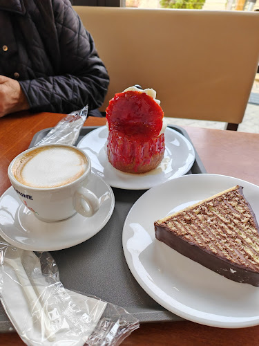 Comentarii opinii despre SC BOROMIR IND SRL RM. VÂLCEA