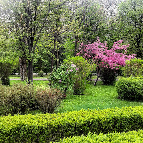 Comentarii opinii despre Restaurant „Casa Albă“