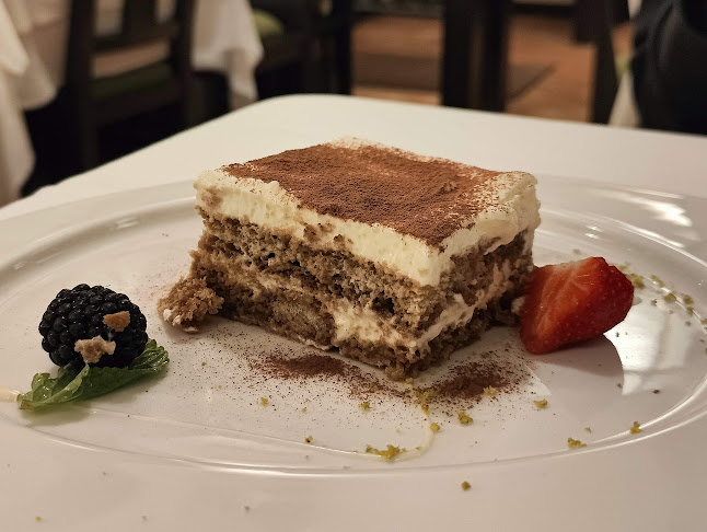 Comentarii opinii despre Latino