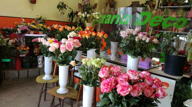 FLORĂRIA DECO - Bușteni