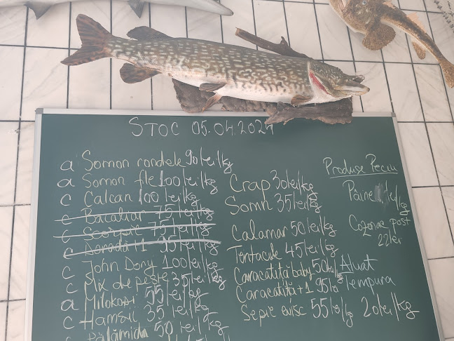 Solzi - Gastronomie și ospitalitate