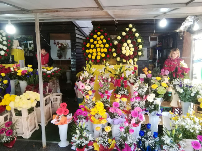 Comentarii opinii despre Piata De Flori