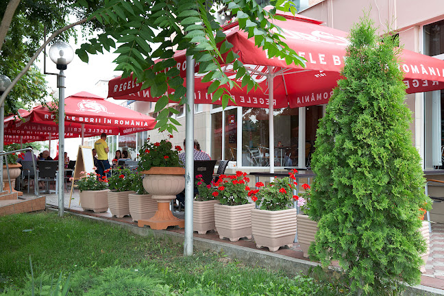 Strada Corneliu Coposu nr. 29, Oradea