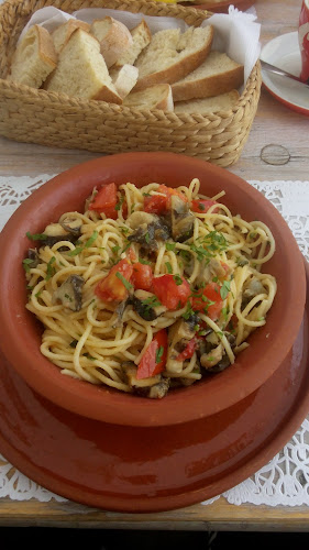 Ivan Pescar - Tulcea