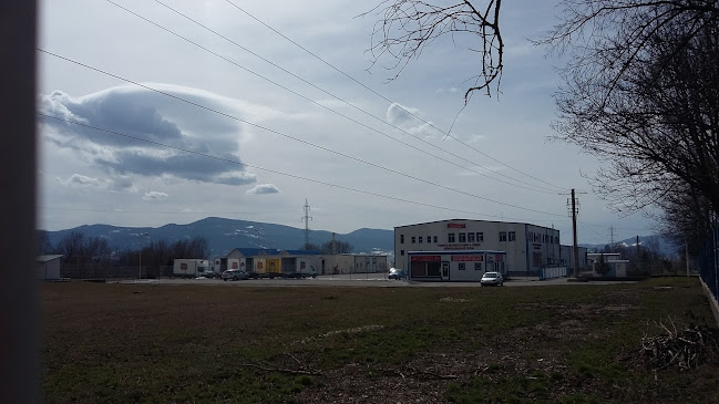 Comentarii opinii despre SC ARTERIMPEX SRL